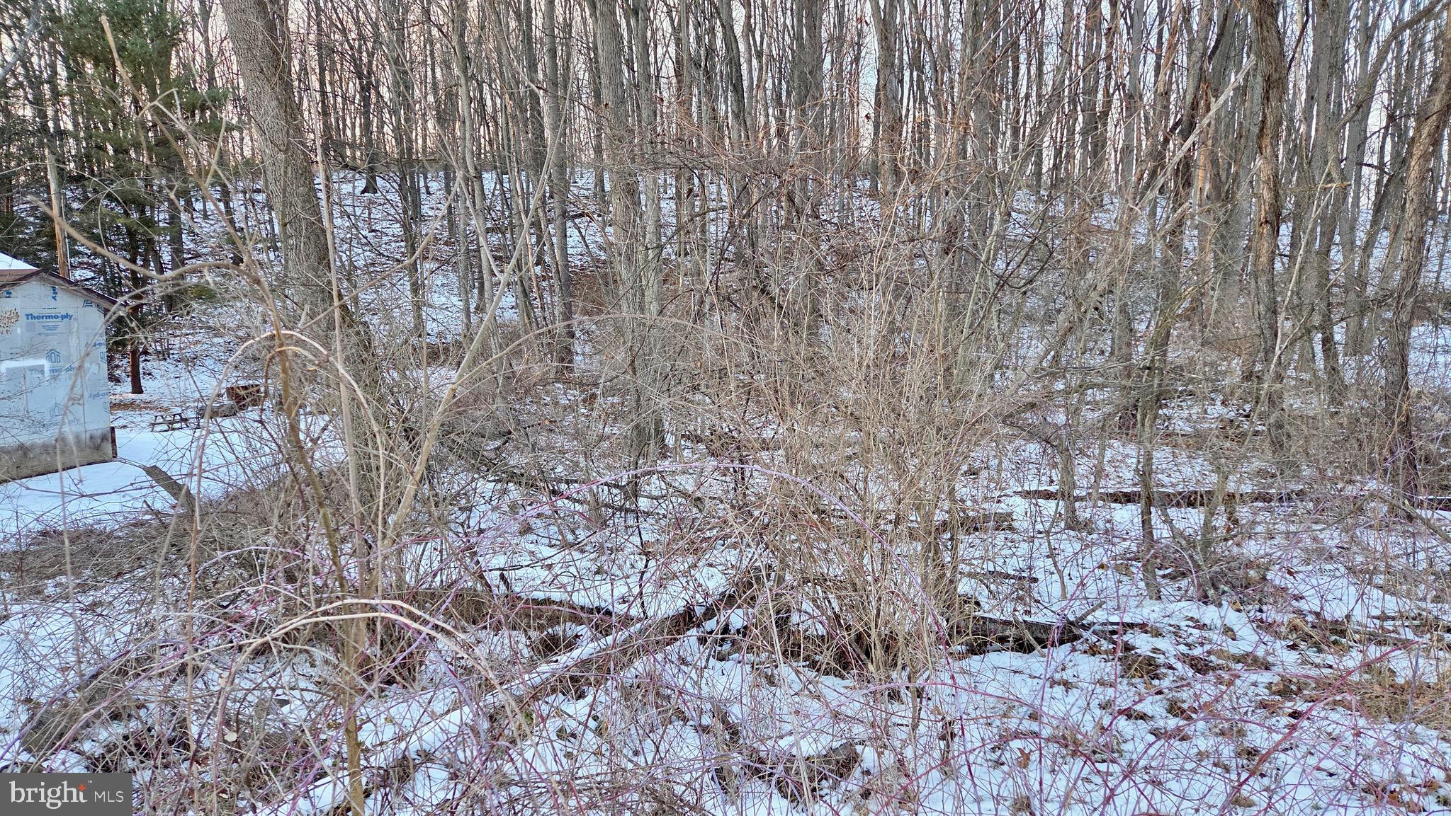 Foxglove Road Altoona, PA 16601 - Photo 2 of 6