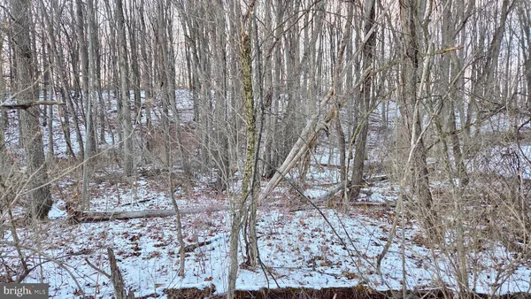 $4,900 | Foxglove Road, Altoona, PA 16601