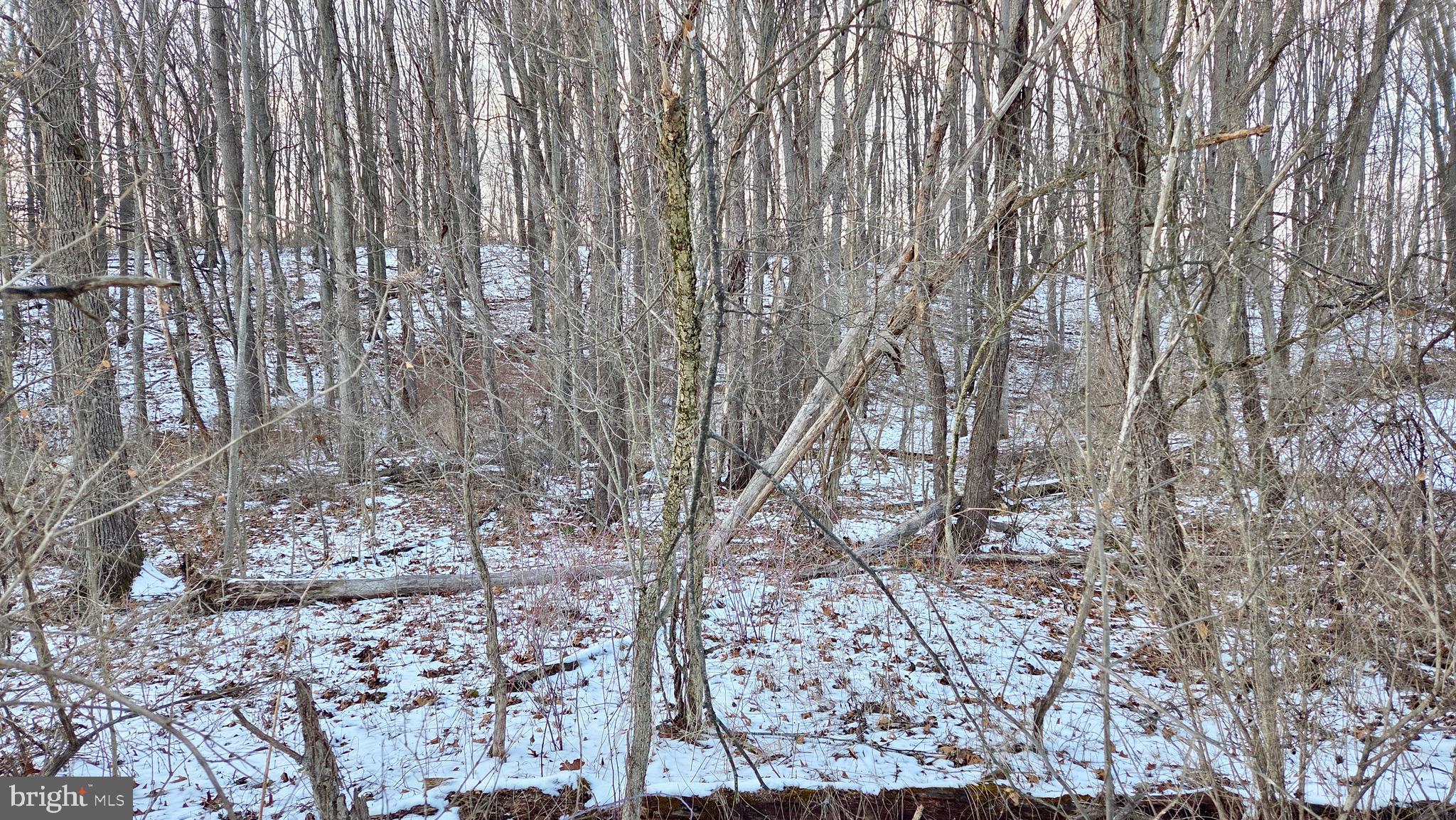 Foxglove Road Altoona, PA 16601 - Photo 3 of 6