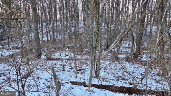 $4,900 | Foxglove Road, Altoona, PA 16601