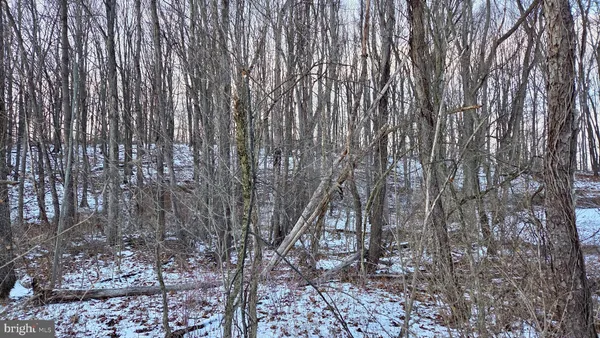 $4,900 | Foxglove Road, Altoona, PA 16601