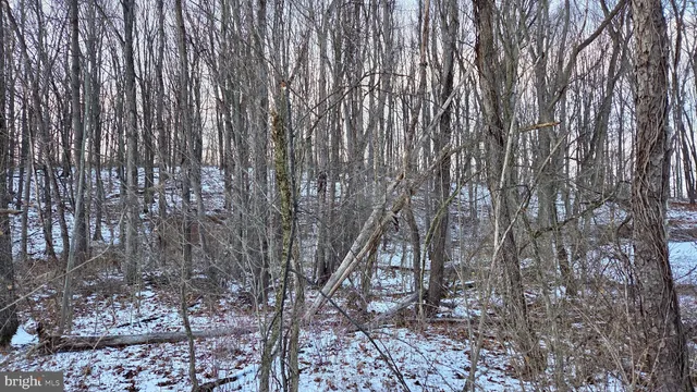 $4,900 | Foxglove Road, Altoona, PA 16601