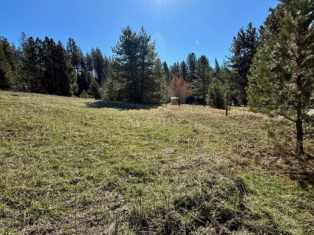 Pt Lot 7 Packer John Road, Unit 7 Cascade, ID 83611 - Photo 13 of 16 Quick Drive from Boise to Quiet Valley