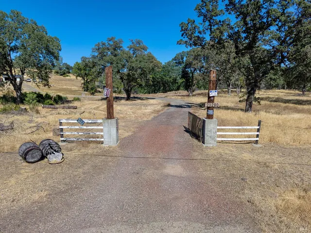 a view of painting on the wall