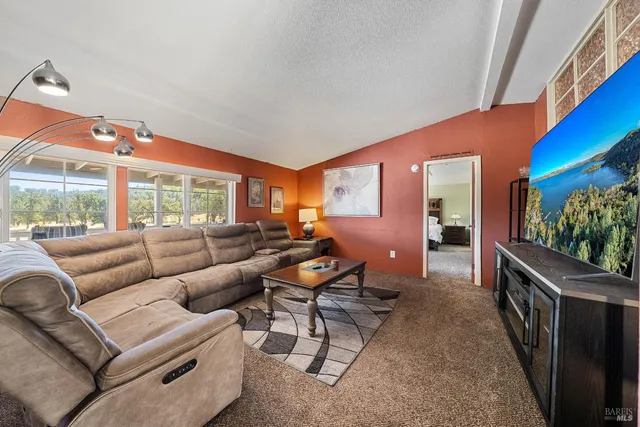 a living room with furniture a rug and a fireplace