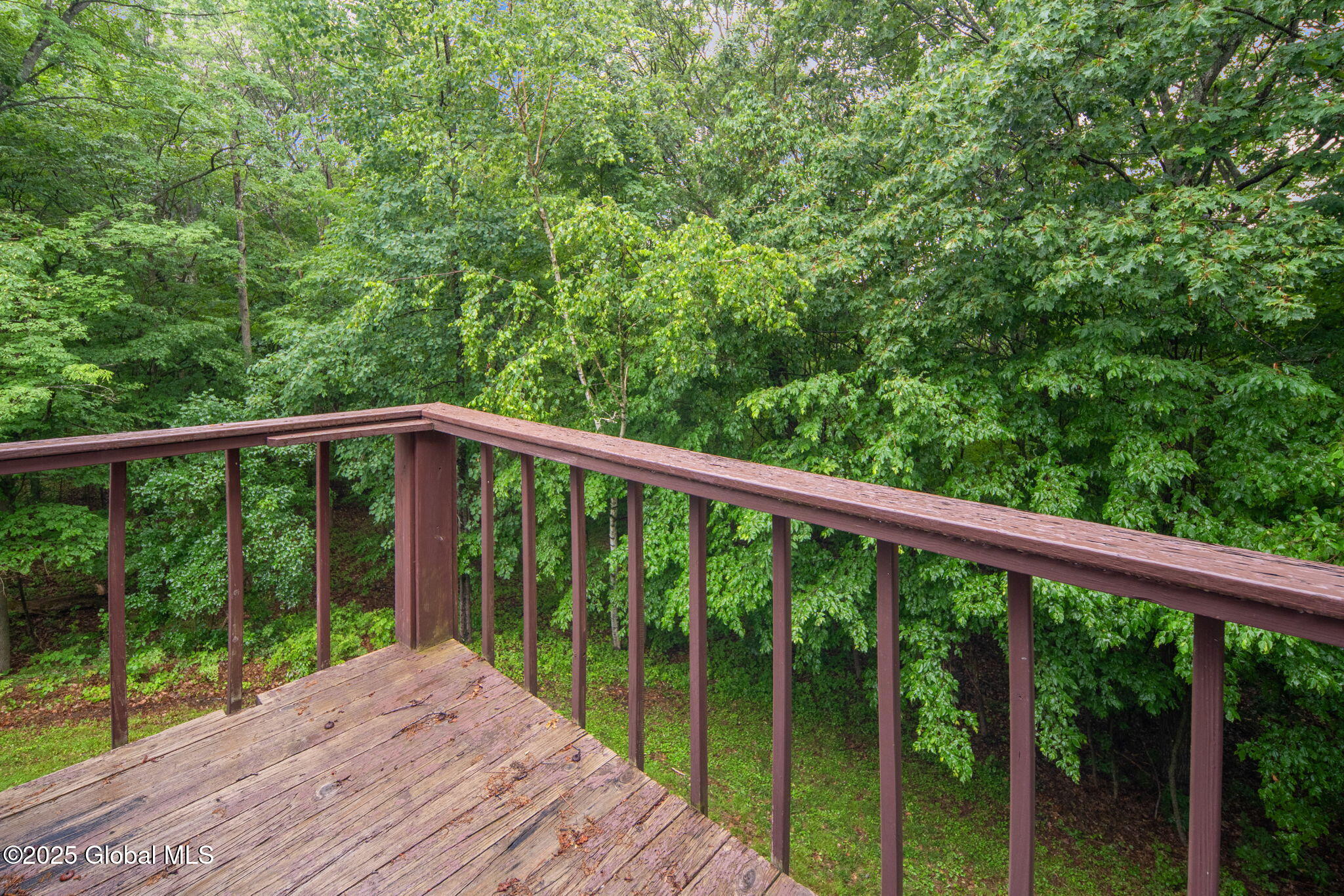 583 Cotton Hill Road Middleburgh, NY 12122 - Photo 37 of 76 37-583CottonHillRd_37