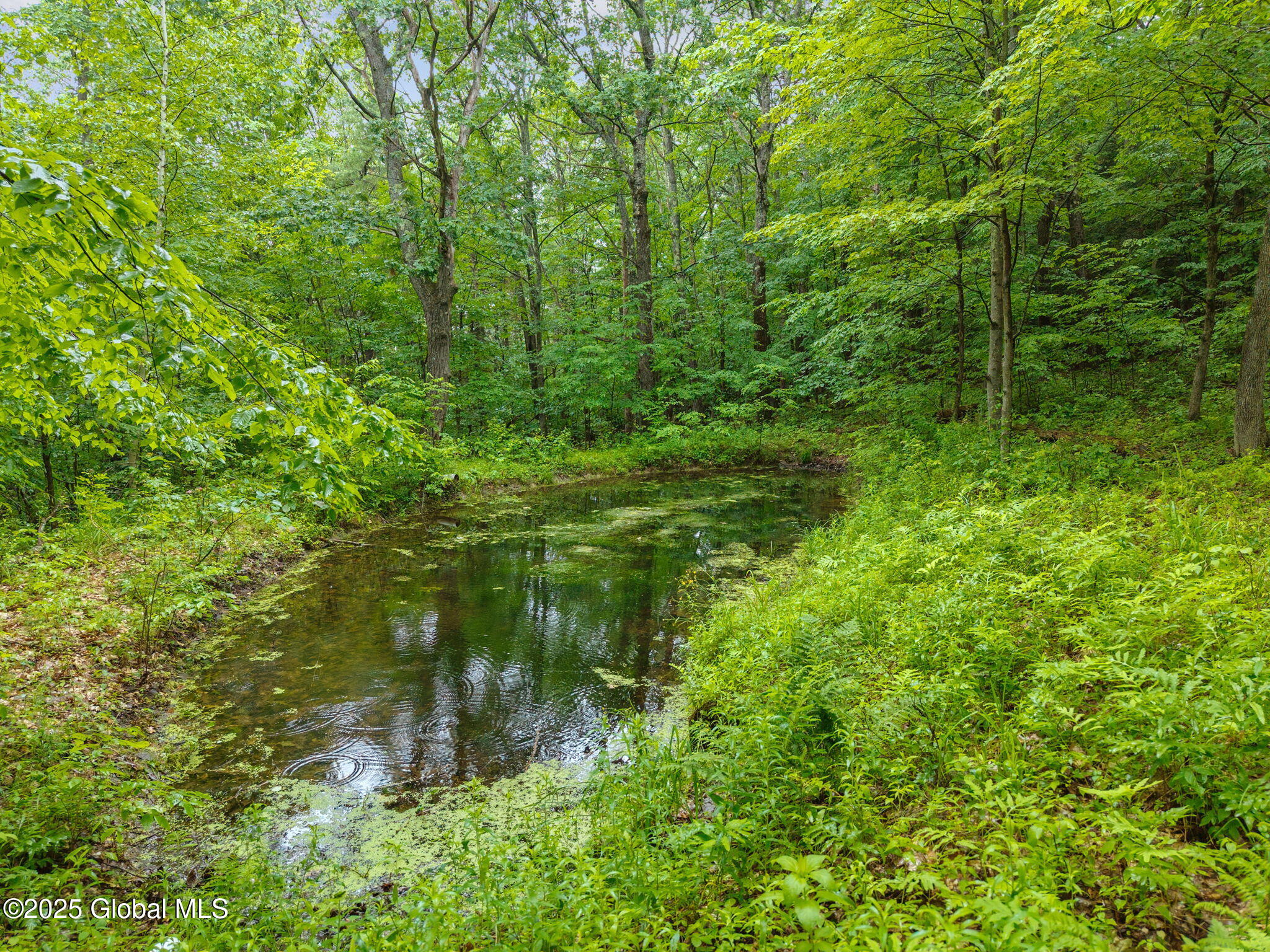 583 Cotton Hill Road Middleburgh, NY 12122 - Photo 67 of 76 67-583CottonHillRd_67