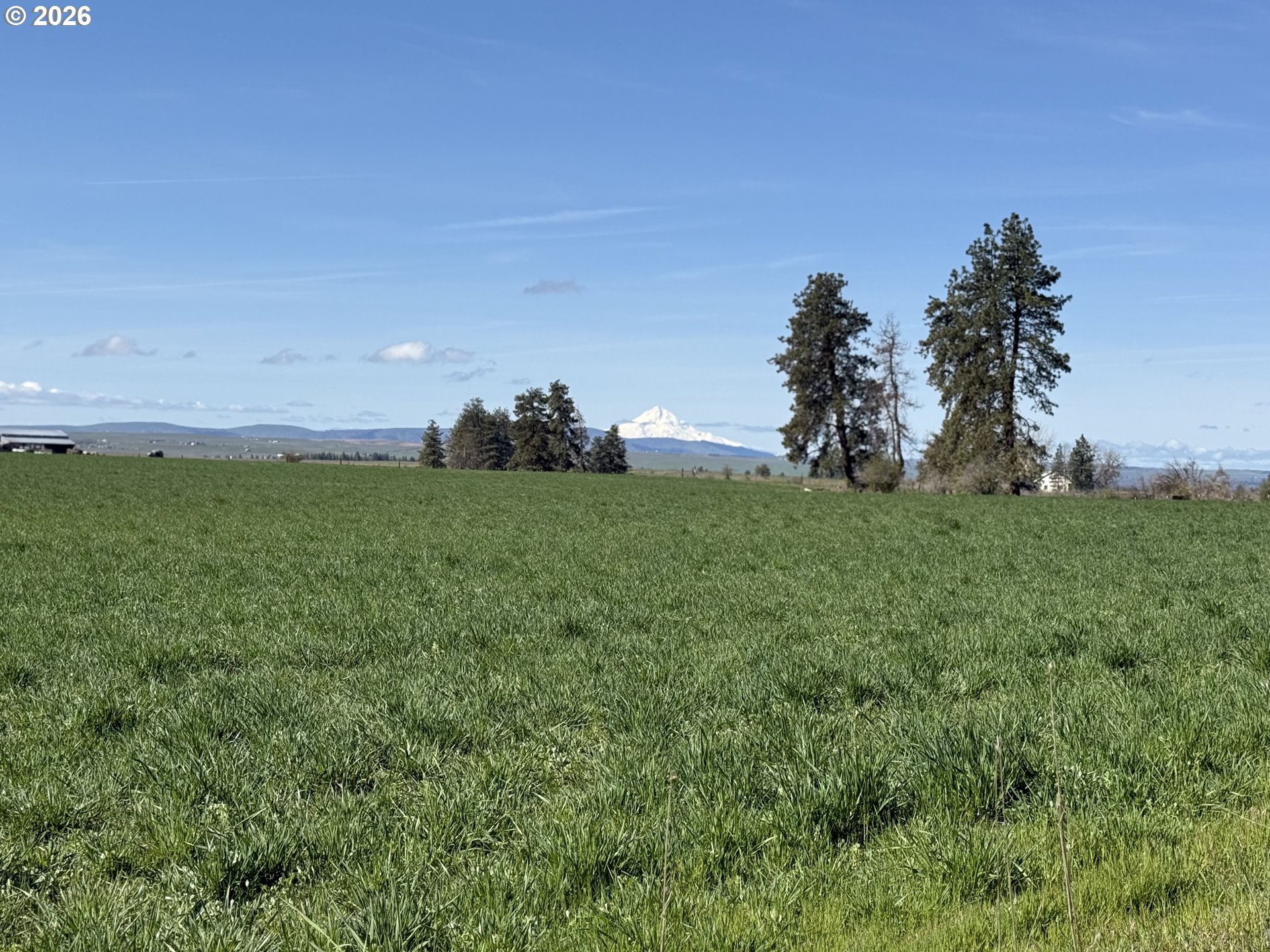 145 Hill Road Goldendale, WA 98620 - Photo 28 of 34