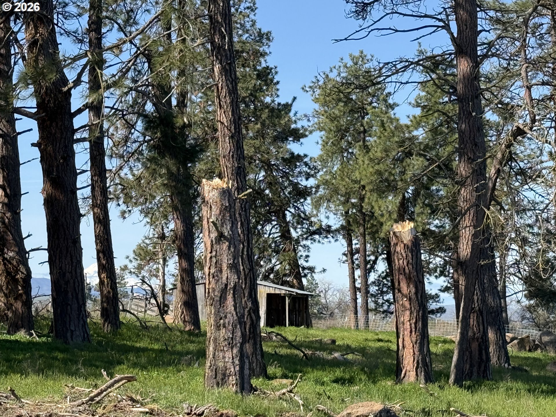 145 Hill Road Goldendale, WA 98620 - Photo 31 of 34