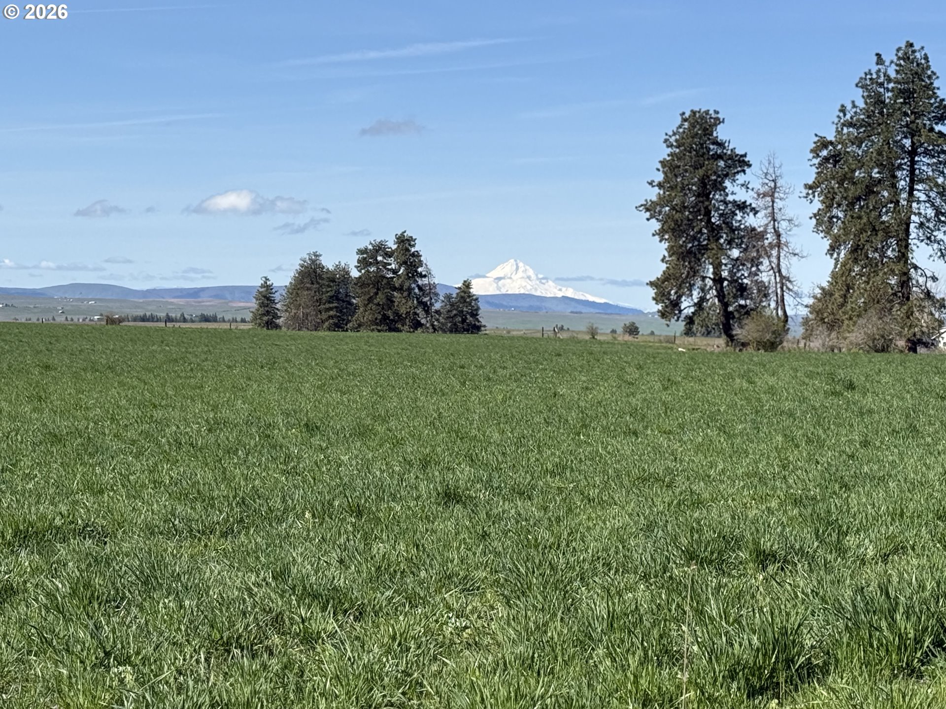 145 Hill Road Goldendale, WA 98620 - Photo 33 of 34