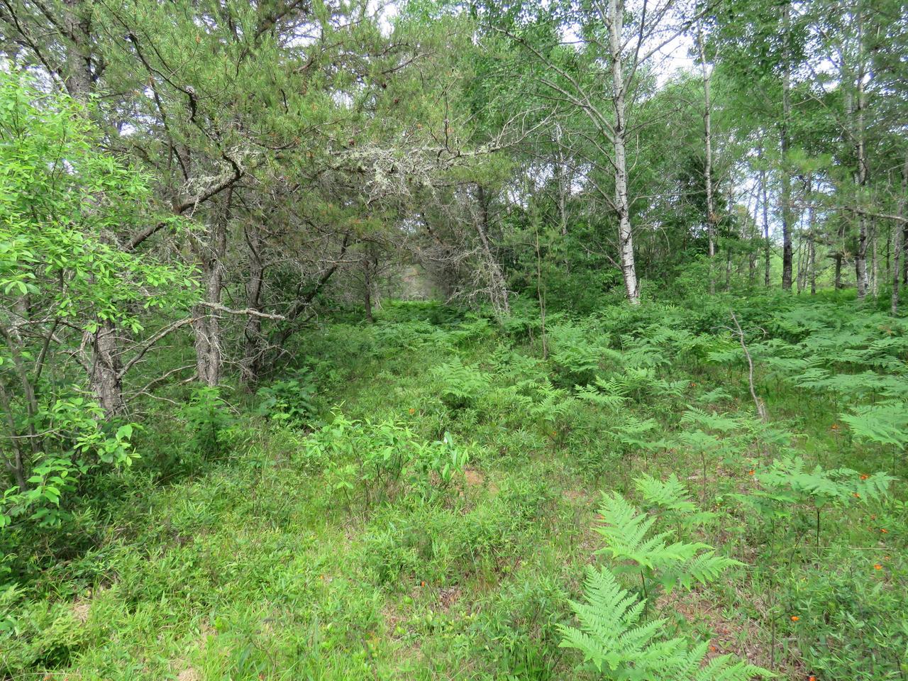 2222 Little Portage Lake Road Land O'Lakes, WI 54540 - Photo 15 of 18 Gallery Image 15