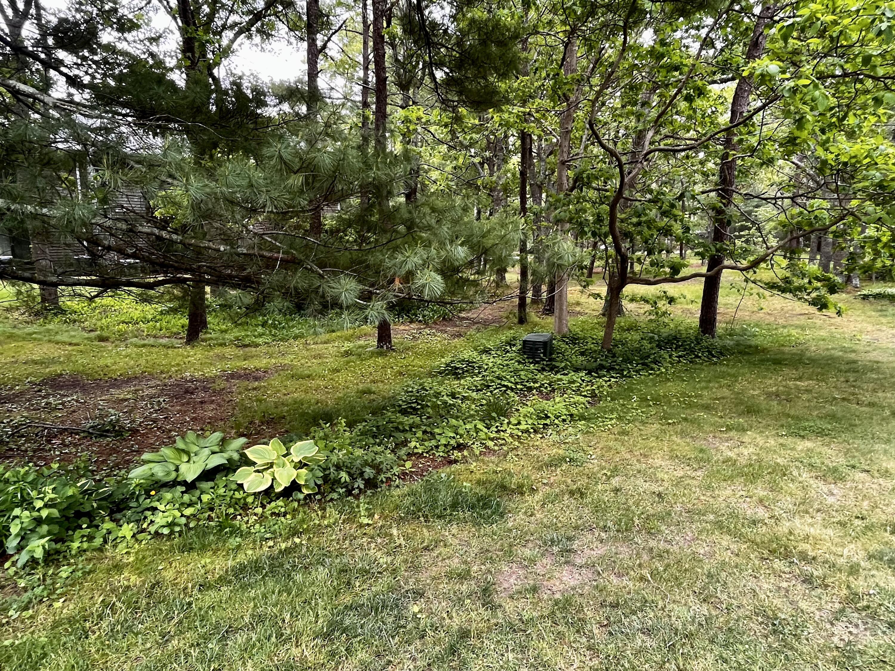 195 Falmouth Road, Unit 3F Mashpee, MA 02649 - Photo 36 of 41 548DEB3C-1F2F-428A-9D55-F8ACA18022D7
