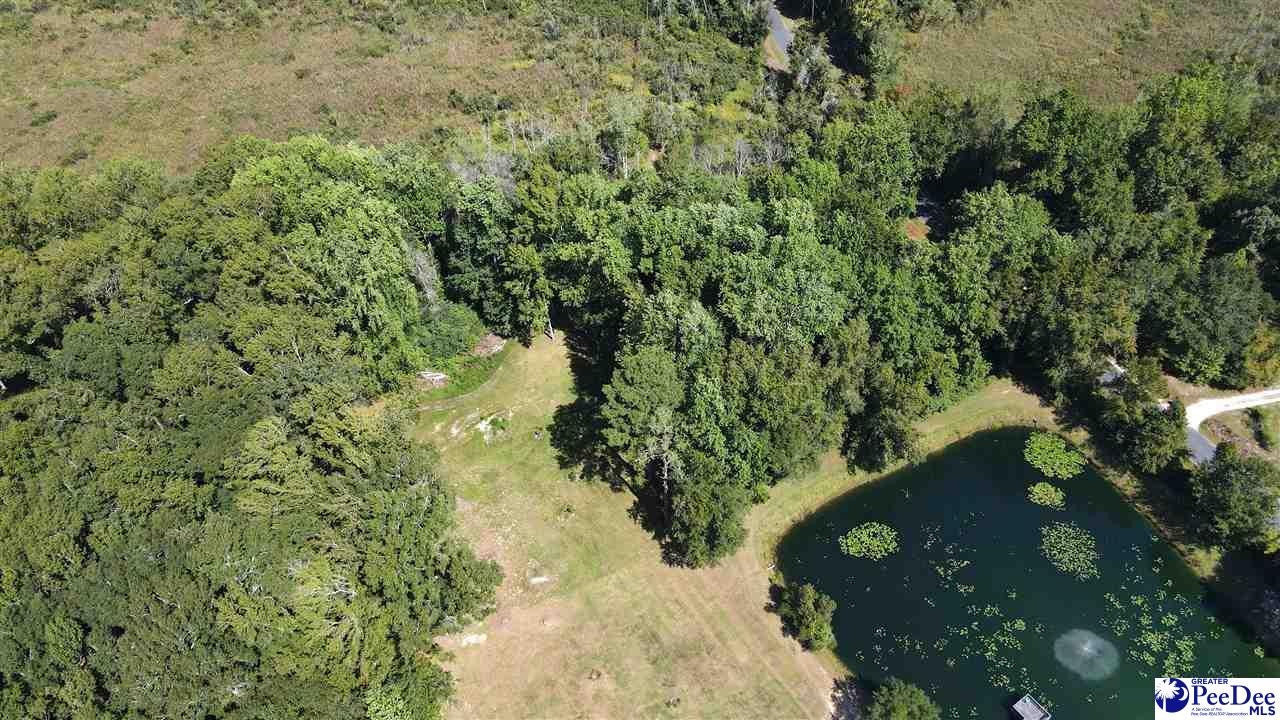 1349 Academy Road Bennettsville, SC 29512 - Photo 5 of 28 Gallery Image 5