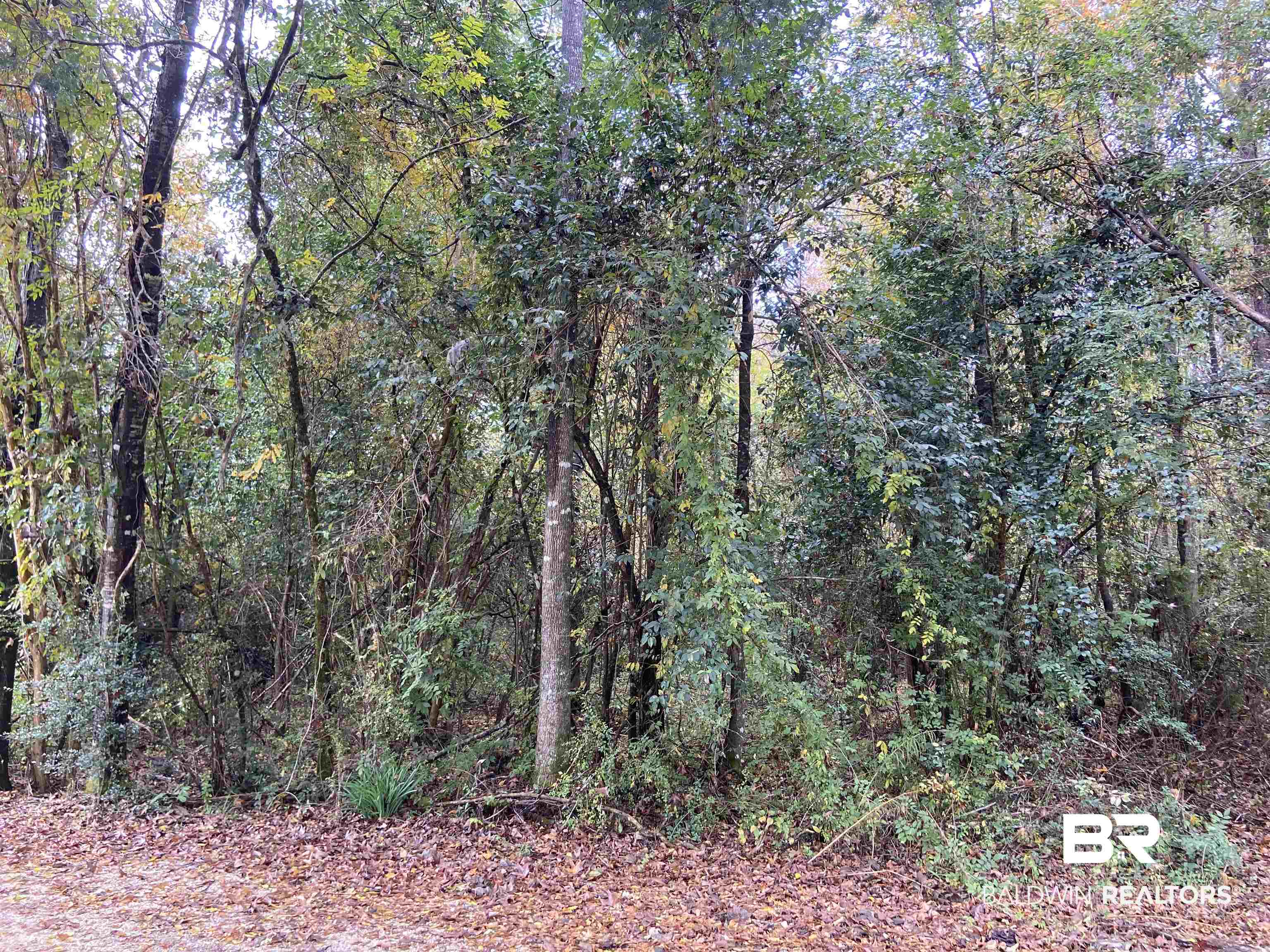 0 Bruner Road Brewton, AL 36426 - Photo 3 of 4