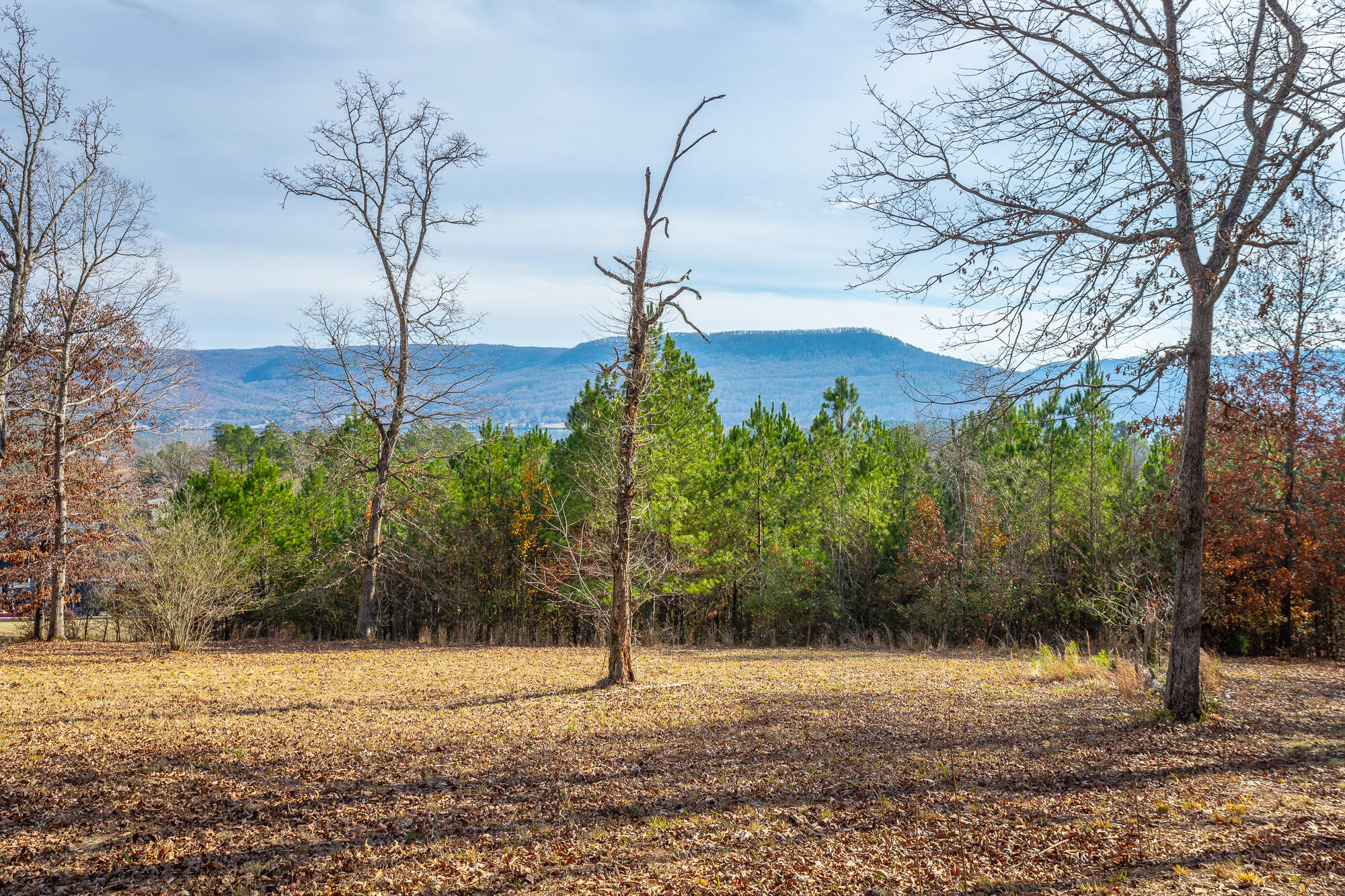 220 Albet Pilgrim Road Jasper, TN 37347 - Photo 13 of 16 220 Albert Pilgram Road HD-13