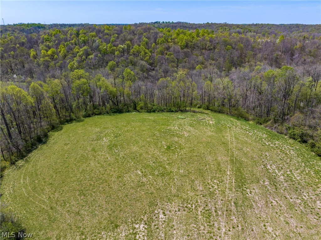 Bagley Rd Mount Mount Perry, OH 43760 - Photo 11 of 13
