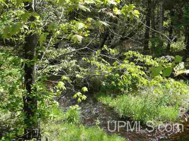 6307 Goodman Grade Road Florence, WI 54121 - Photo 29 of 30 Gallery Image 29