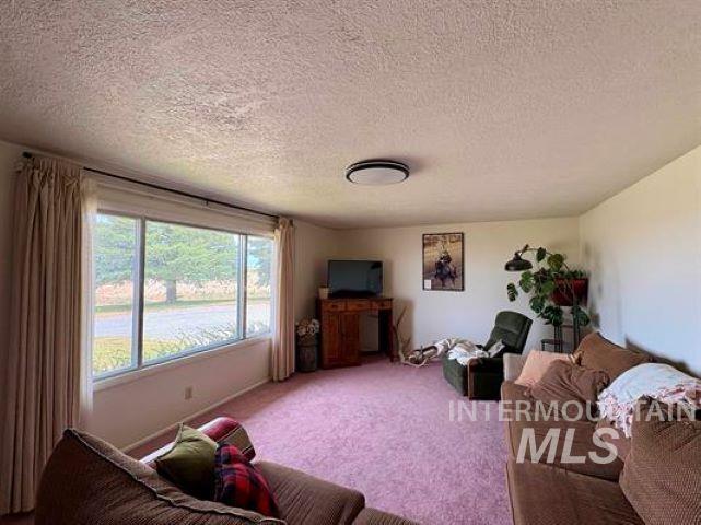 3197 Neeley Road American Falls, ID 83211 - Photo 15 of 45 Spacious living area featuring large picture windows, wall-to-wall carpeting, and a flush-mount ceiling light fixture