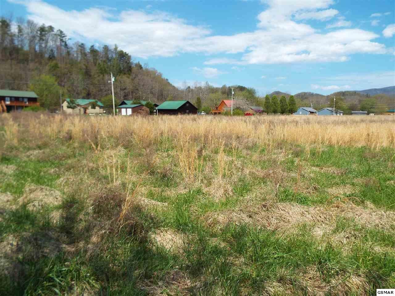 9 Padgett Mill Road Cosby, TN 37722 - Photo 9 of 25 Gallery Image 9