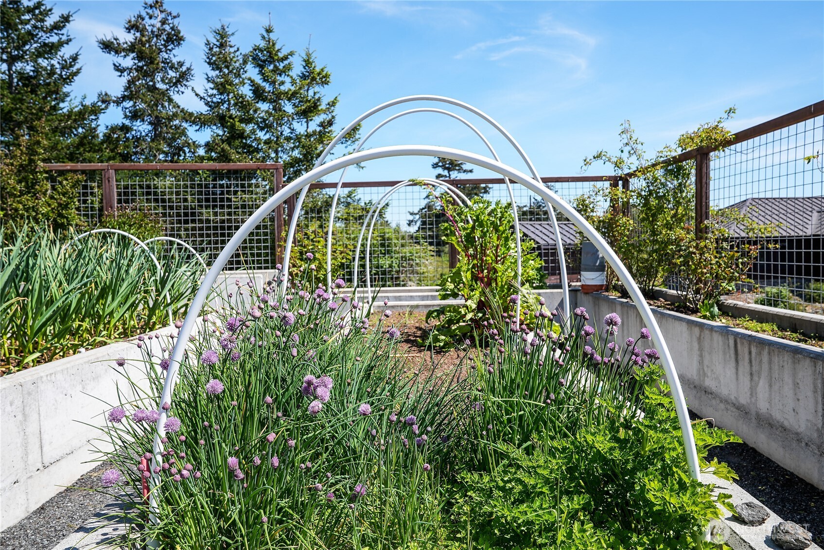 115 Clipper Way Friday Harbor, WA 98250 - Photo 30 of 40