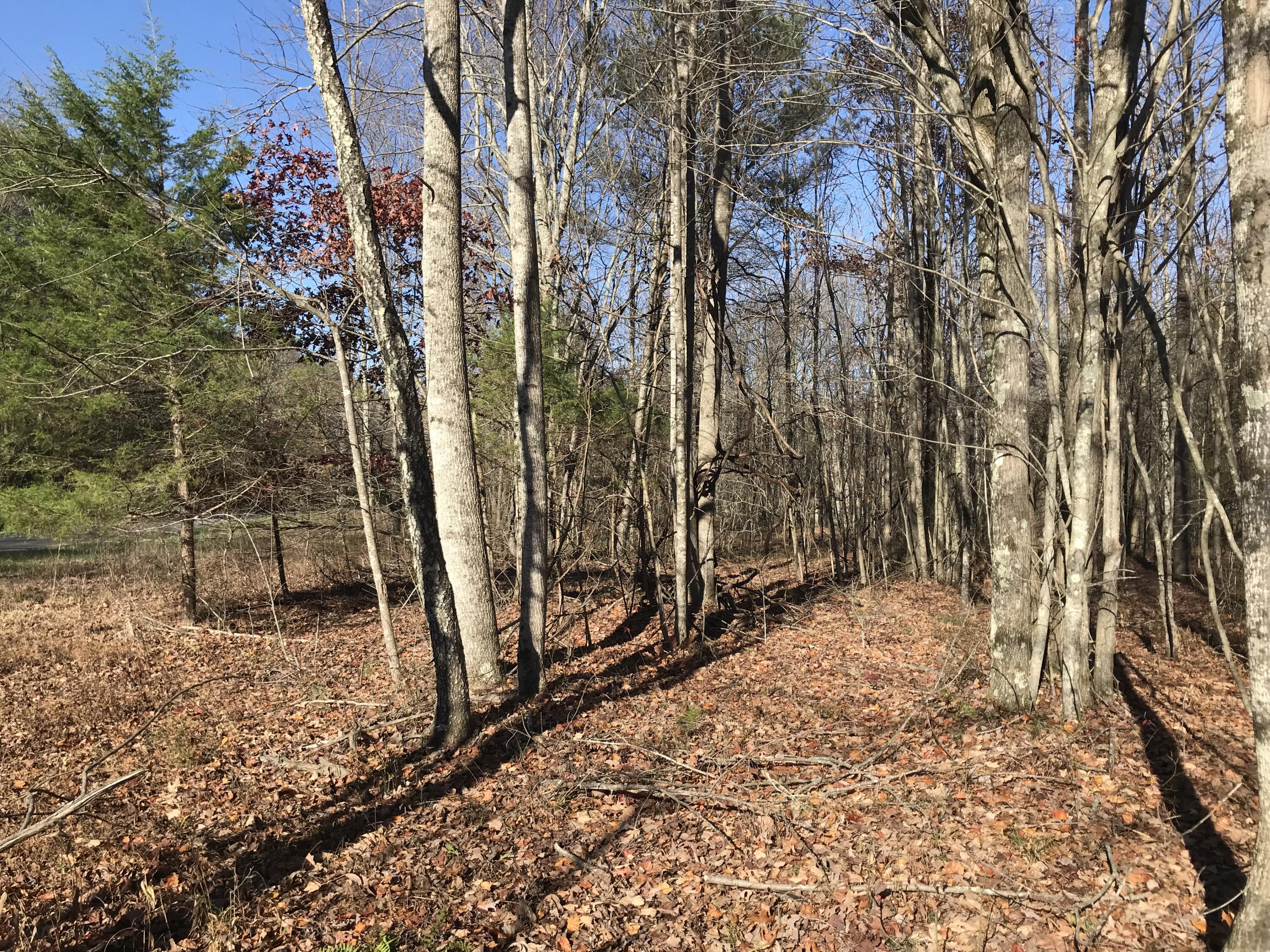 1 Hobbstown Road Dunlap, TN 37327 - Photo 14 of 23 IMG_9013