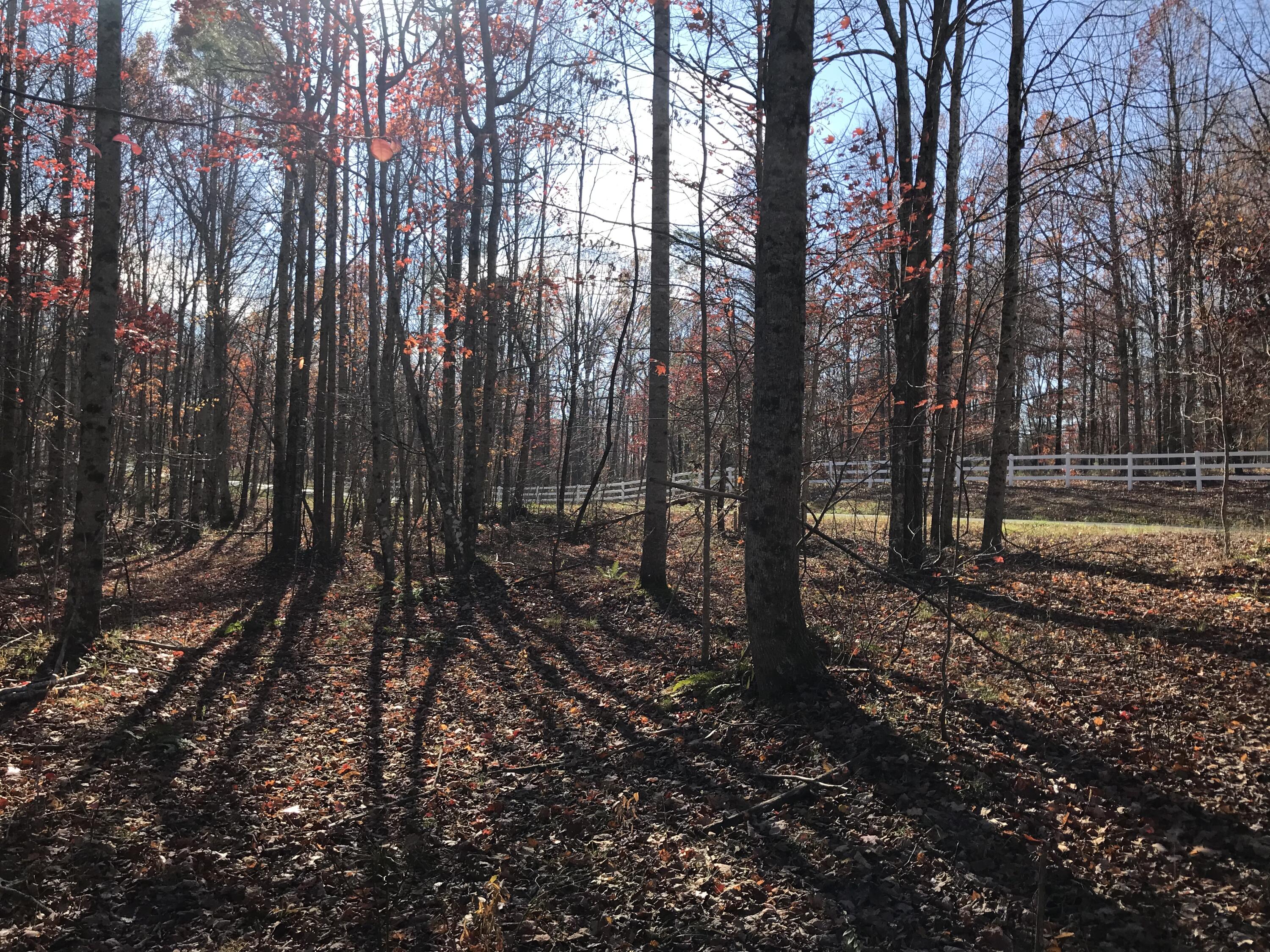 1 Hobbstown Road Dunlap, TN 37327 - Photo 15 of 23 IMG_9014