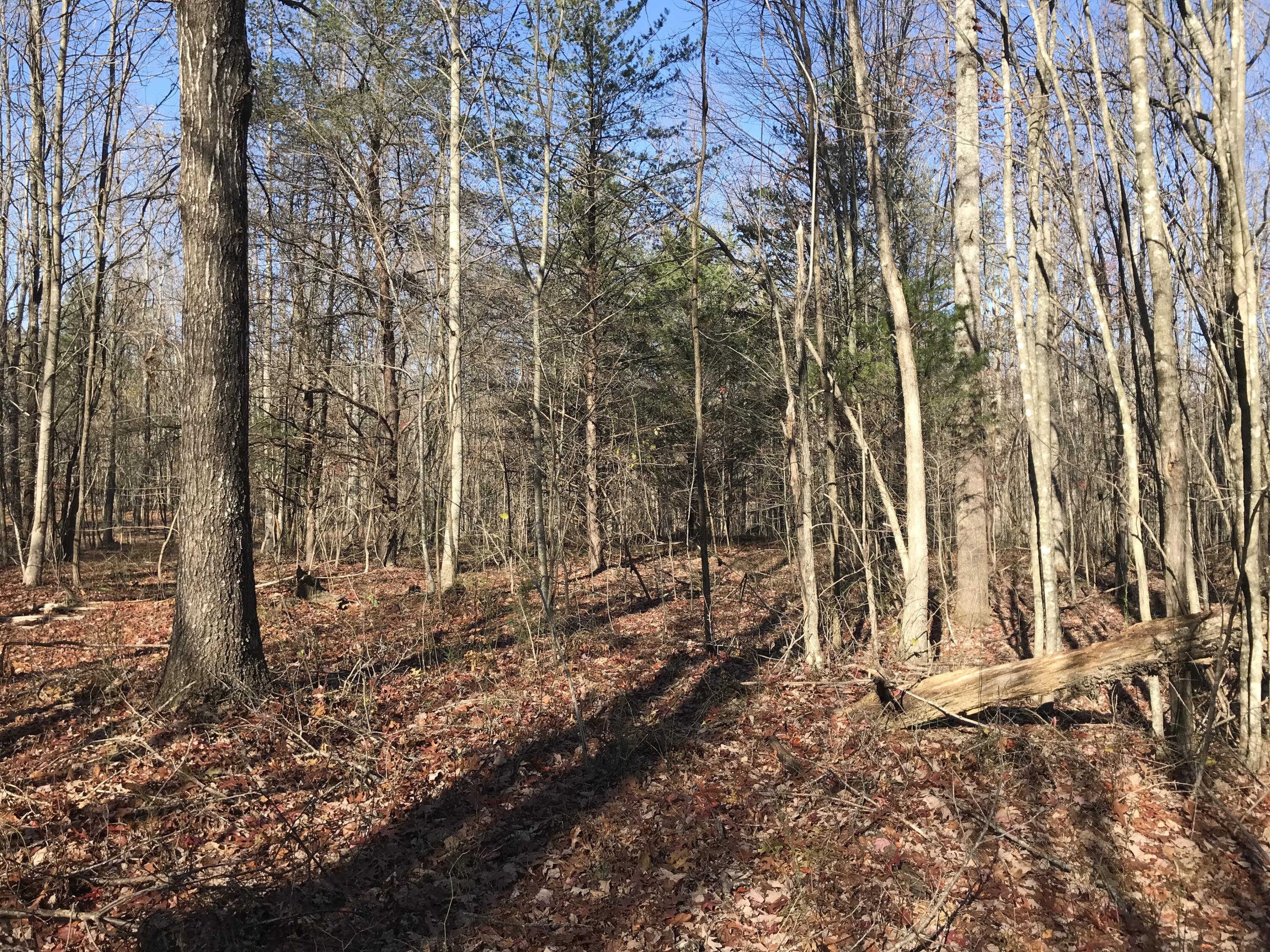 1 Hobbstown Road Dunlap, TN 37327 - Photo 17 of 23 IMG_9017