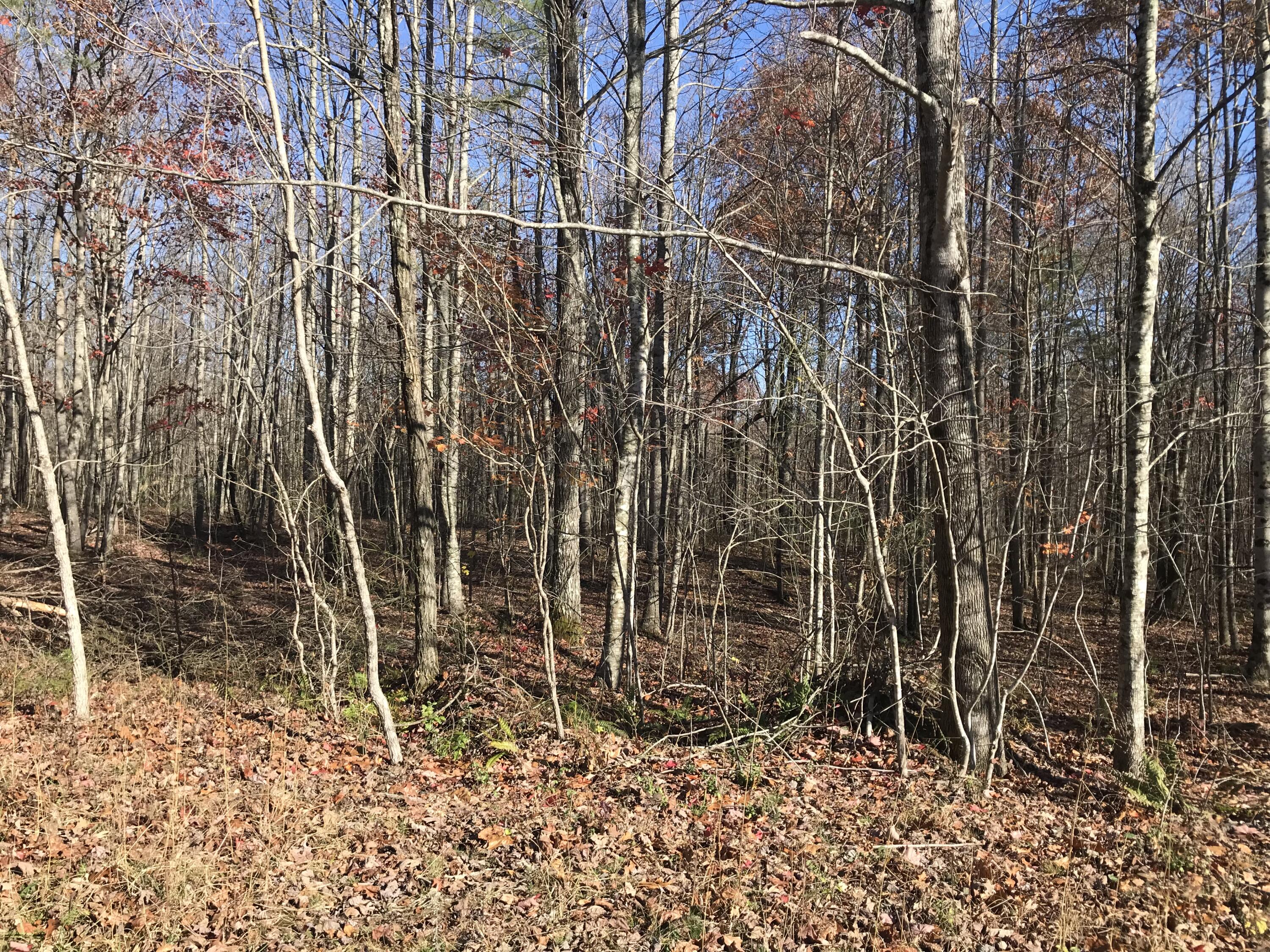 1 Hobbstown Road Dunlap, TN 37327 - Photo 22 of 23 IMG_9008