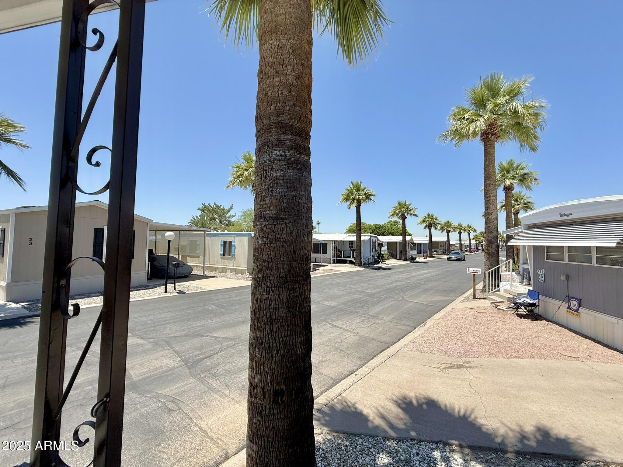 601 North Hayden Road, Unit 89 Scottsdale, AZ 85257 - Photo 10 of 35 Palm Tree lined street