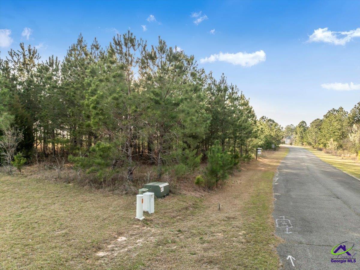 0 Woodland Trail Road Cochran, GA 31014 - Photo 17 of 20