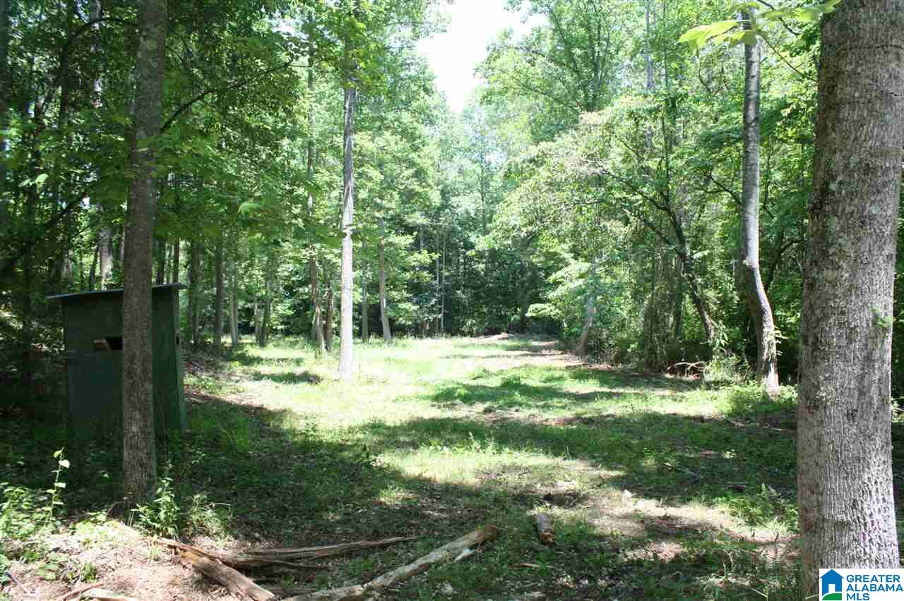 810 Weeks Drive, Unit 152 ACRES Delta, AL 36258 - Photo 12 of 24