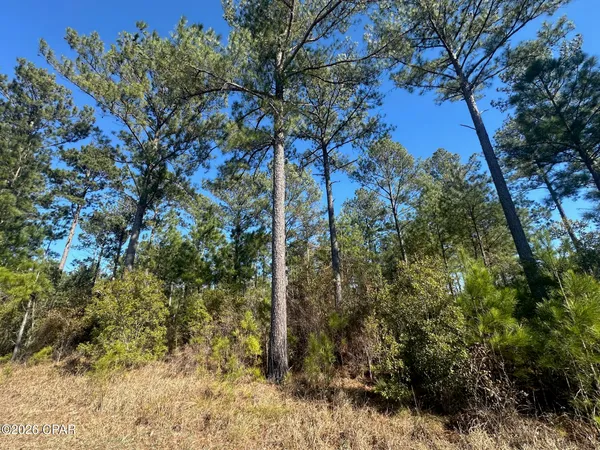$559,000 | 0 River Road, Sneads, FL 32460
