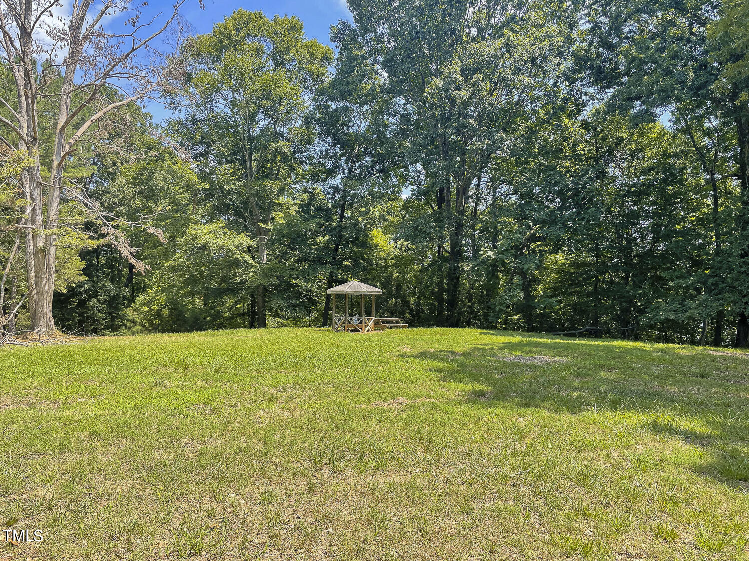 0 Delta Bluff Lane Raleigh, NC 27606 - Photo 4 of 7 5