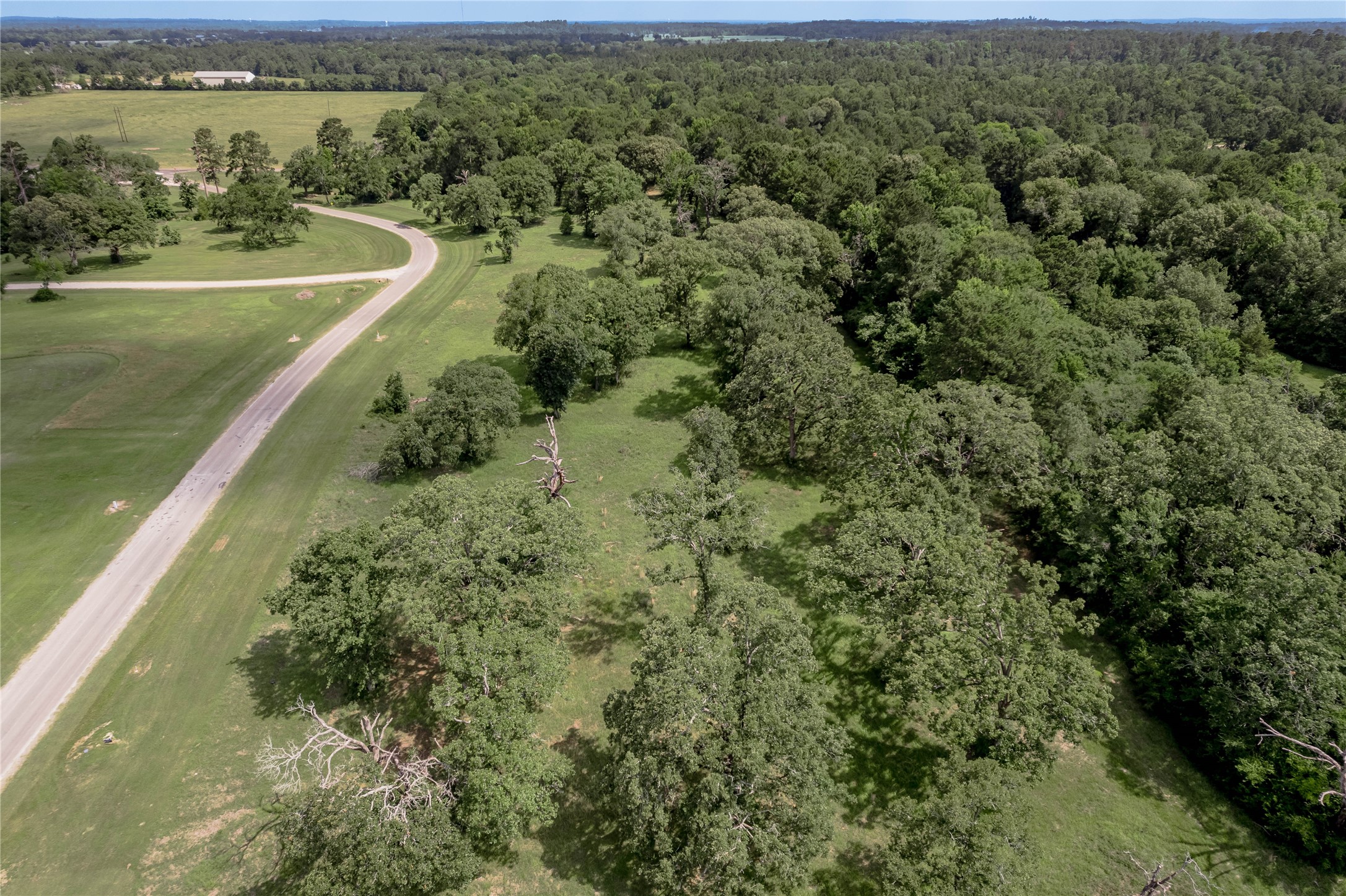 Lot 11 Tara Drive Trinity, TX 75862 - Photo 25 of 27