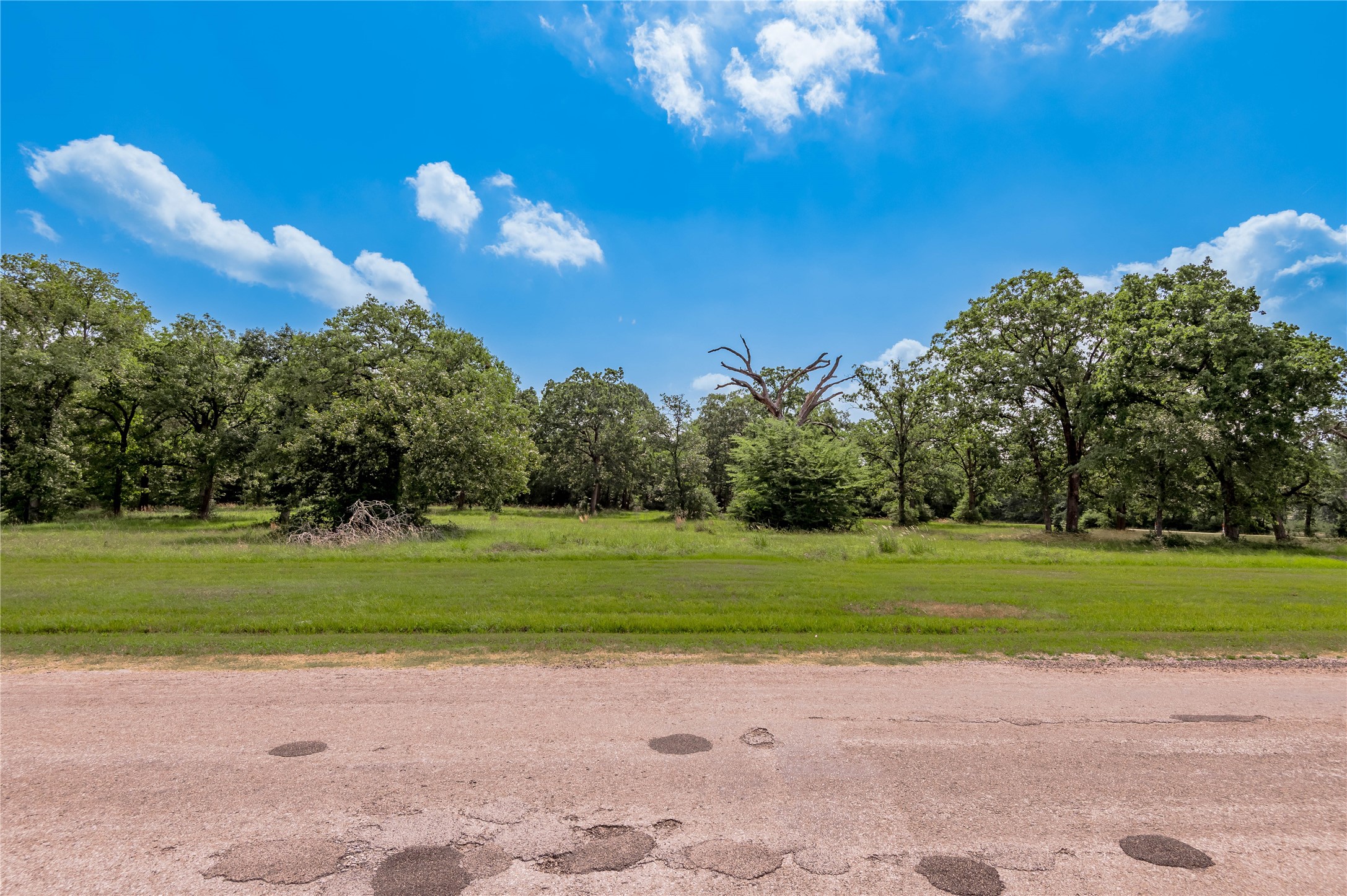 Lot 11 Tara Drive Trinity, TX 75862 - Photo 4 of 27