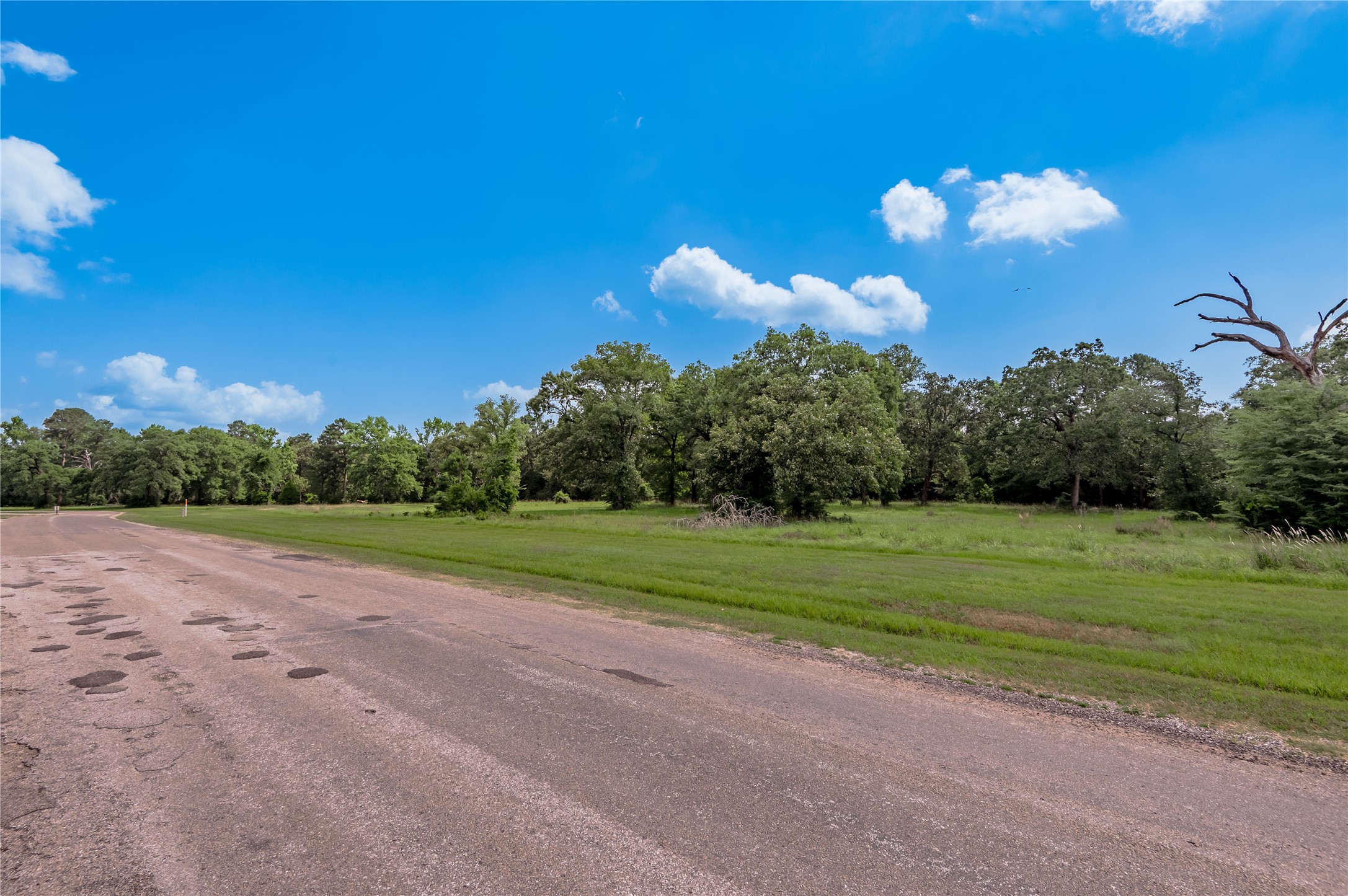 Lot 11 Tara Drive Trinity, TX 75862 - Photo 5 of 27