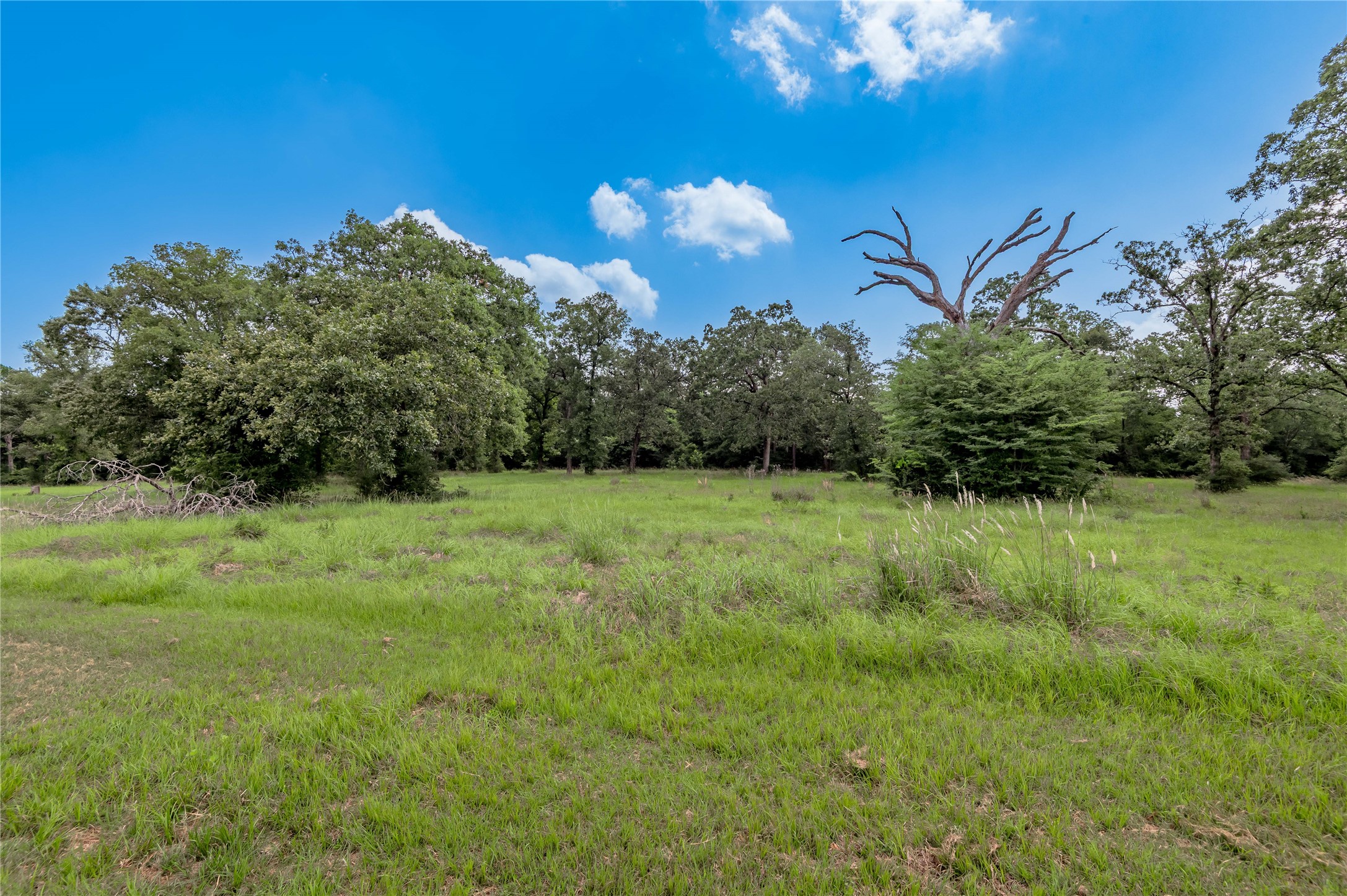 Lot 11 Tara Drive Trinity, TX 75862 - Photo 6 of 27