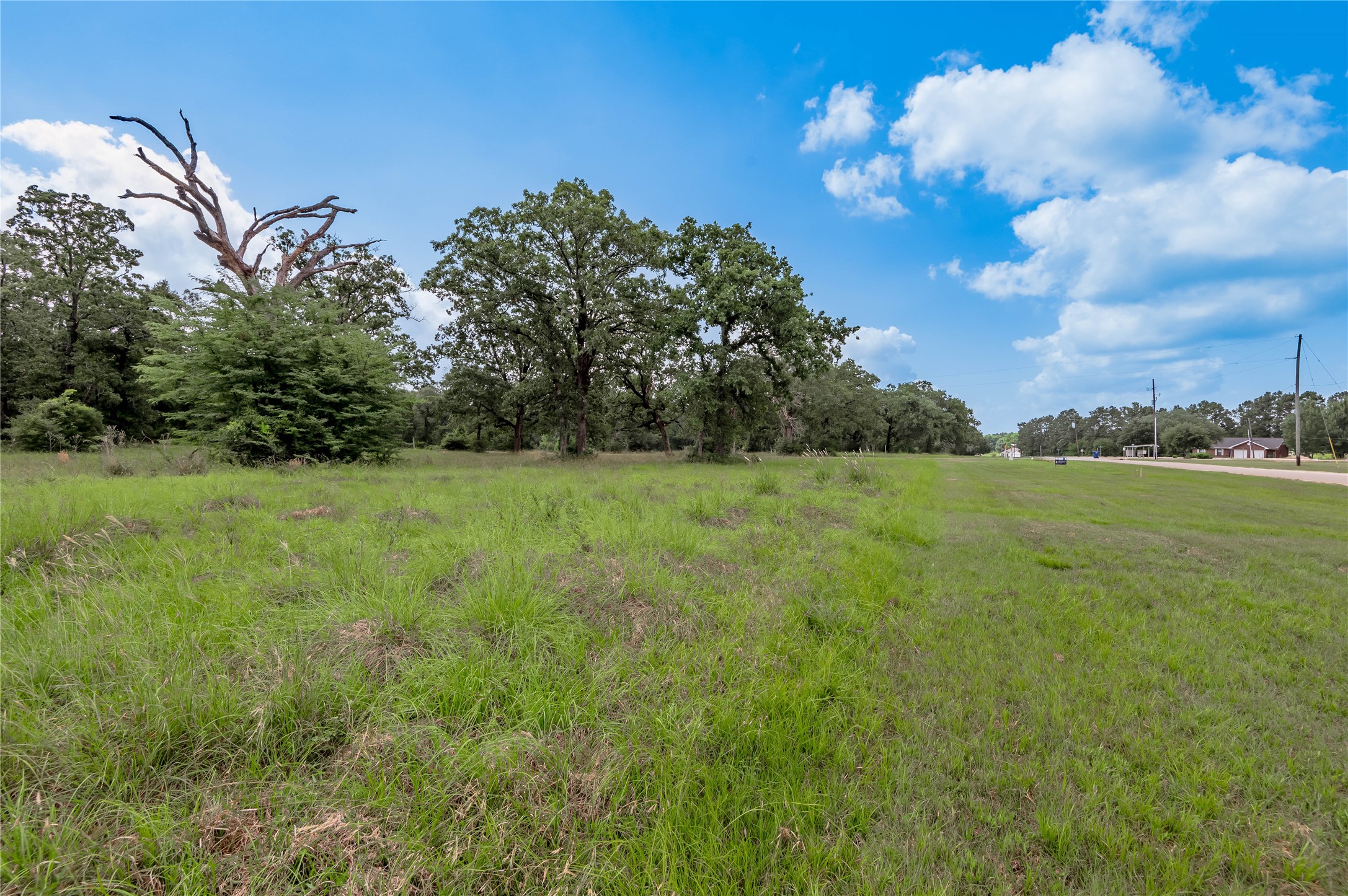 Lot 11 Tara Drive Trinity, TX 75862 - Photo 10 of 27