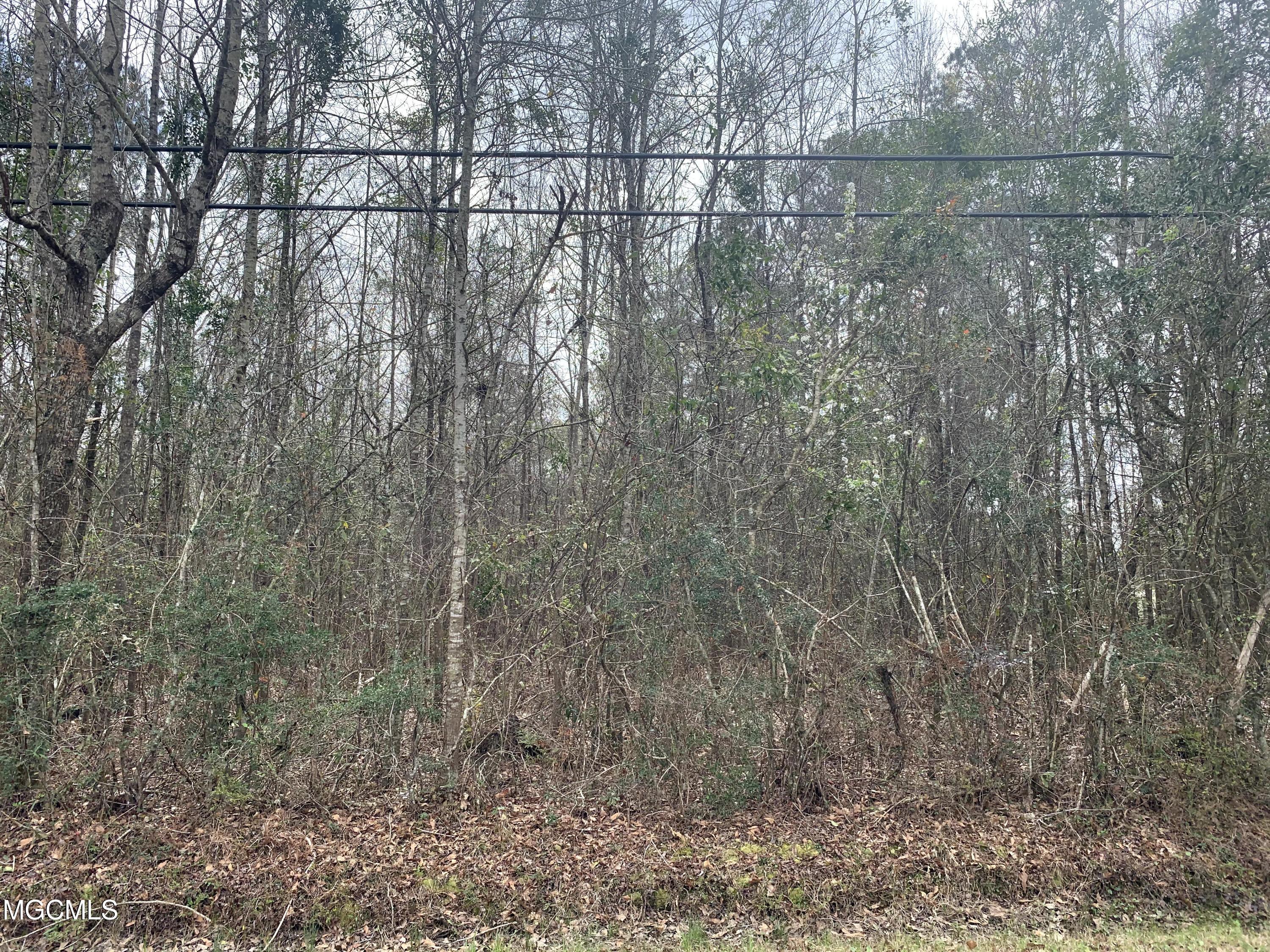 12495 Old Kiln Road Picayune, MS 39466 - Photo 2 of 4 Land