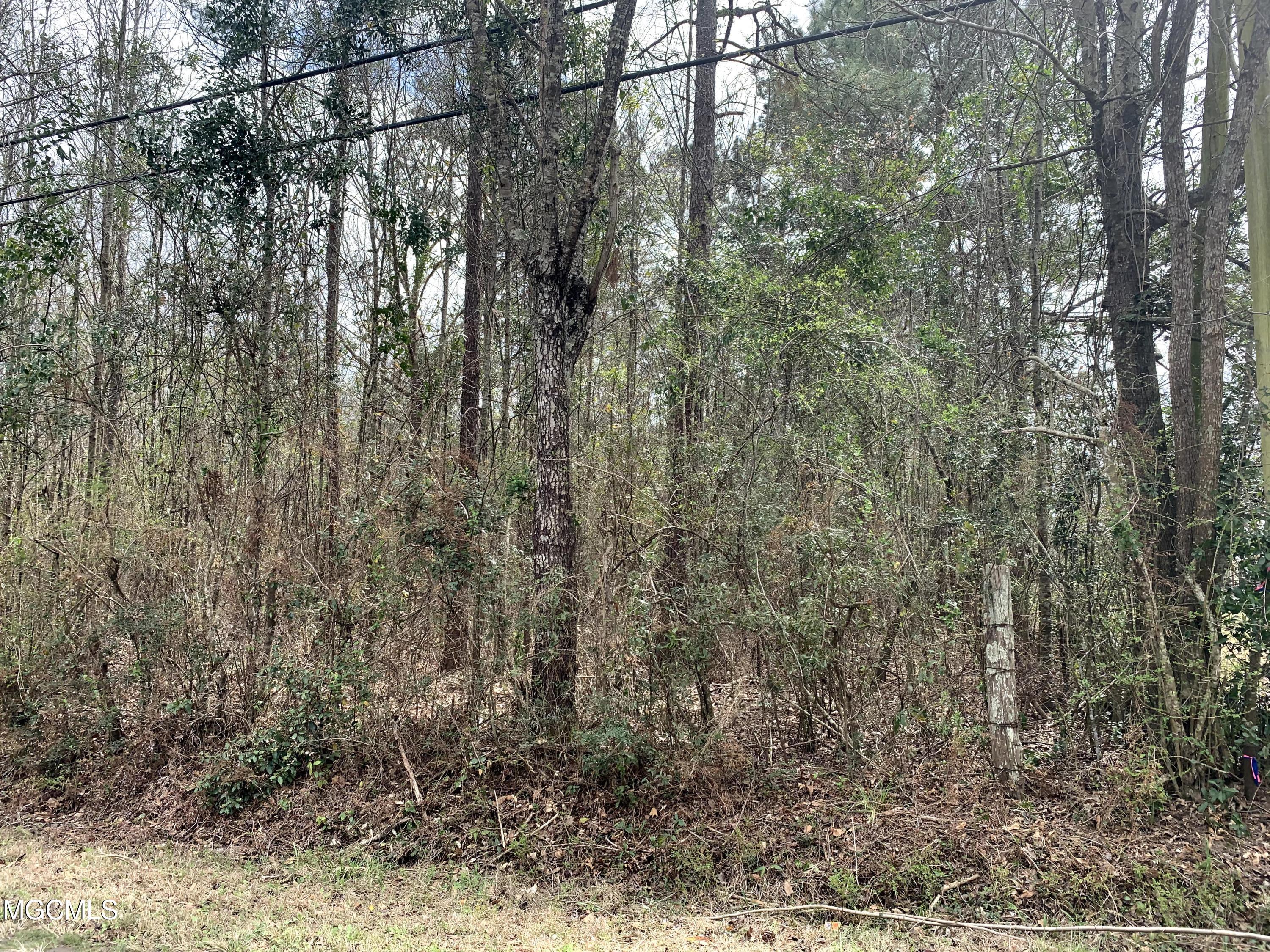 12495 Old Kiln Road Picayune, MS 39466 - Photo 3 of 4 Land