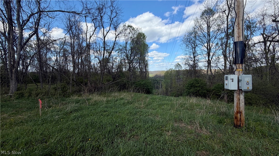 Deersville Ridge Road Cadiz, OH 43907 - Photo 33 of 41