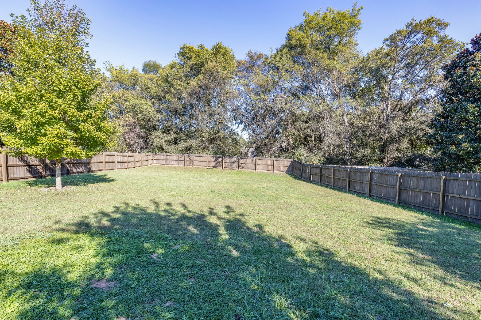 1035 Watauga Court Thompson's Station, TN 37179 - Photo 7 of 56