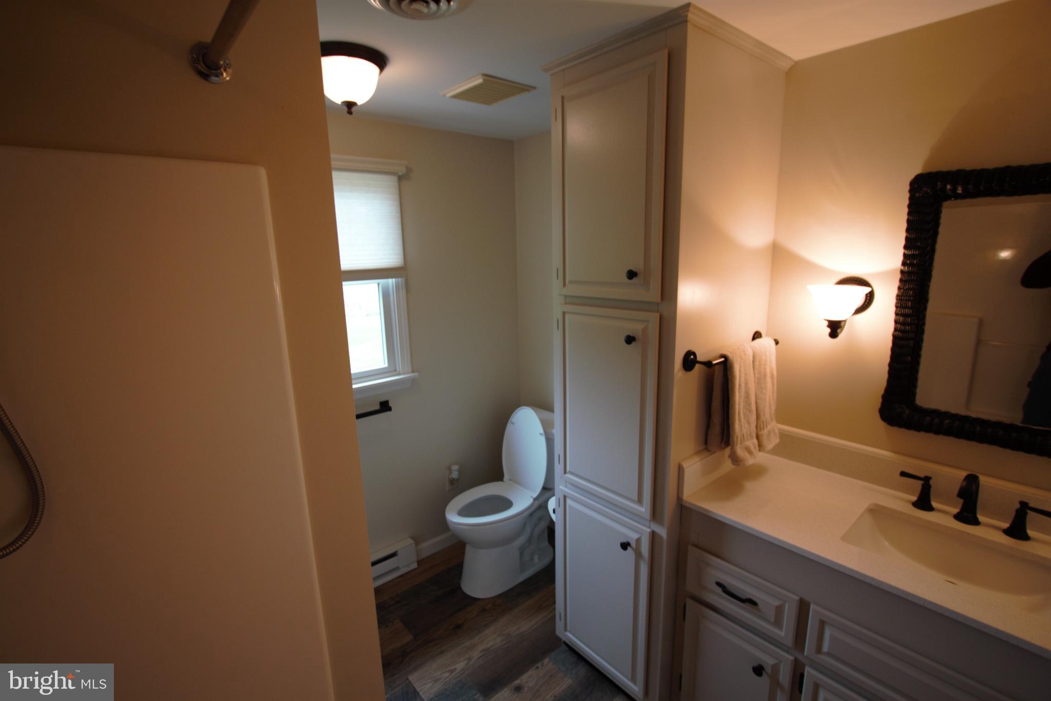 336 Wiermans Mill Road York Springs, PA 17372 - Photo 11 of 19 Primary bathroom