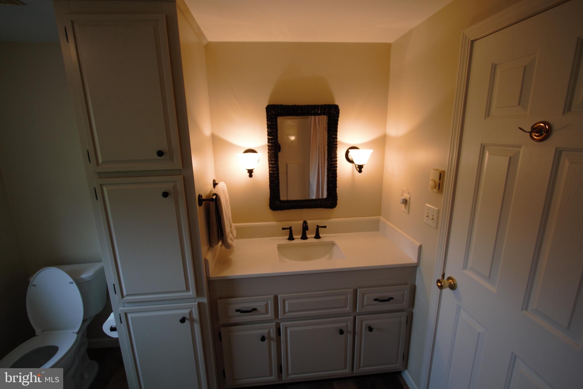 336 Wiermans Mill Road York Springs, PA 17372 - Photo 10 of 19 Primary bathroom