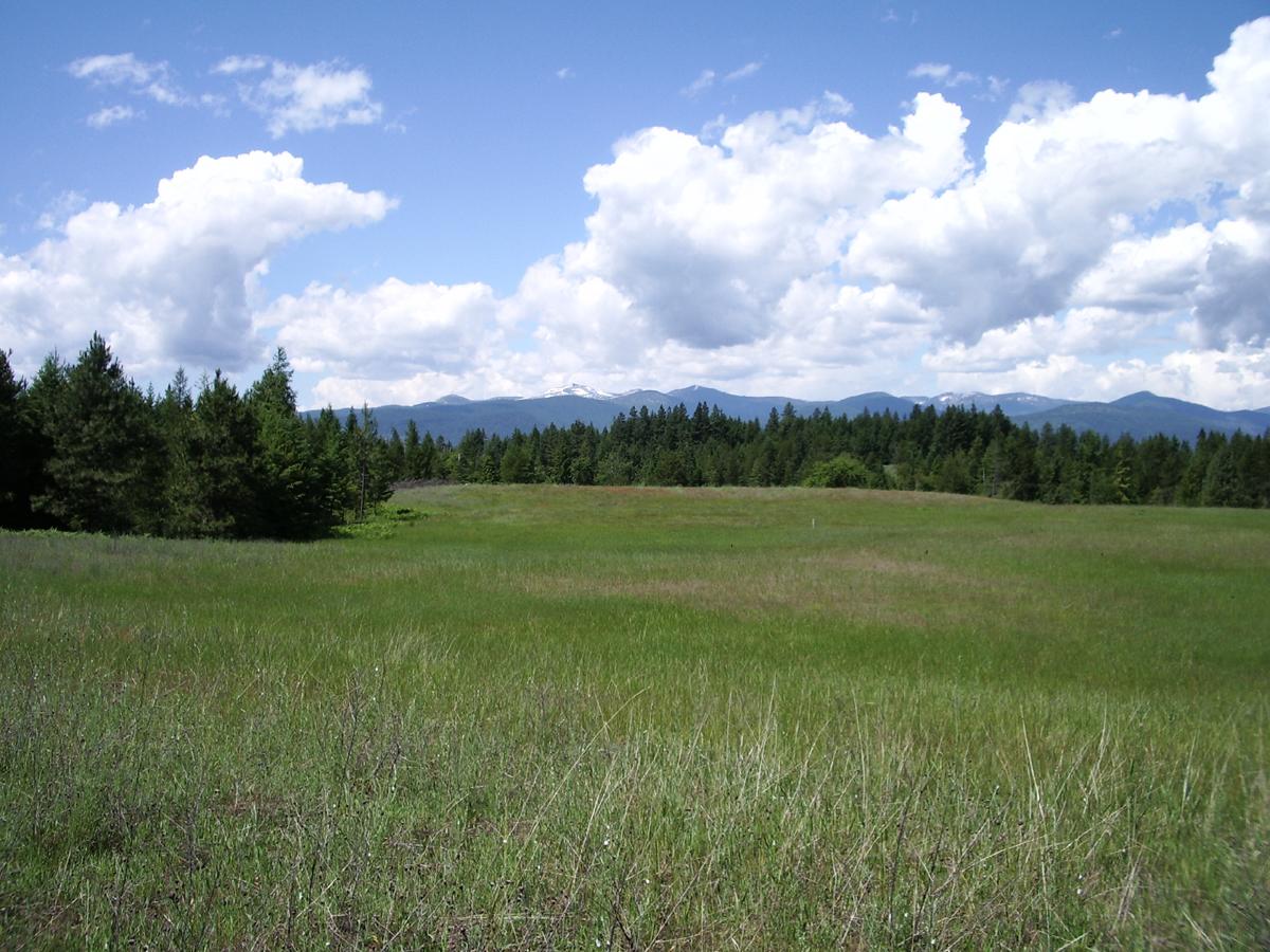 4 Hidden Place Bonners Ferry, ID 83805 - Photo 1 of 1 6.18 Acres