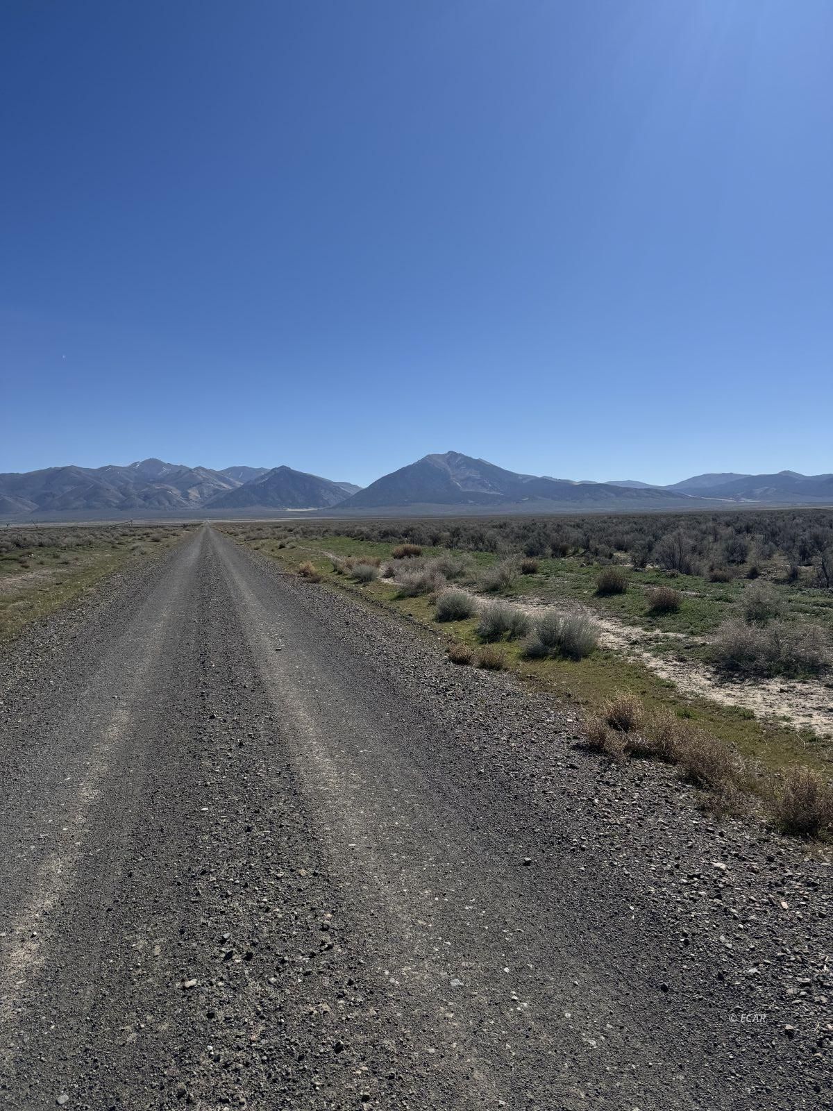 Filippini Ranch Road Battle Mountain, NV 89820 - Photo 8 of 10