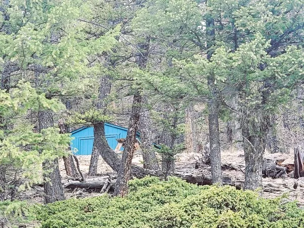 a view of a house with a tree