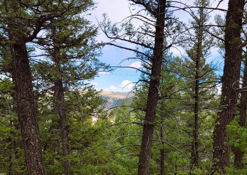 1941 Redhill Road Fairplay, CO 80440 - Photo 19 of 50