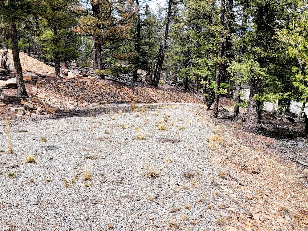 1941 Redhill Road Fairplay, CO 80440 - Photo 20 of 50