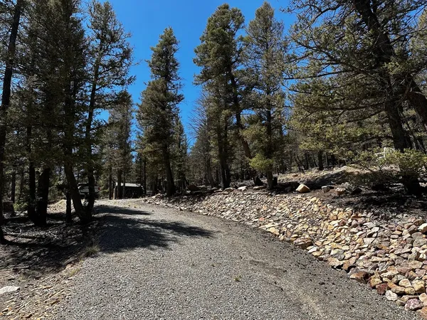 a view of a road with a tree